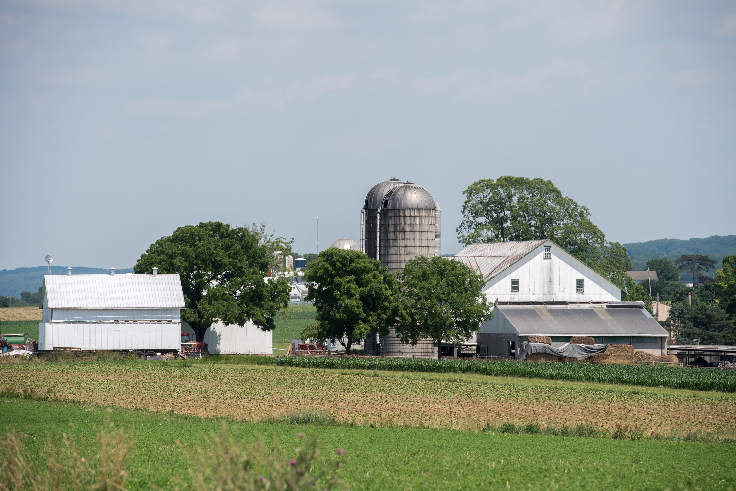 USDA